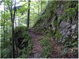 Planina Kosmačeve Rastke - Velika Raduha